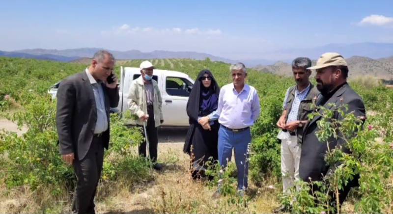 بازدید بخشدار جبالبارز از کارخانه گل